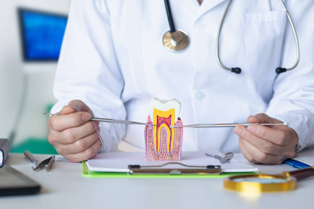 Best Emergency Tooth Extraction in Altoona, WI